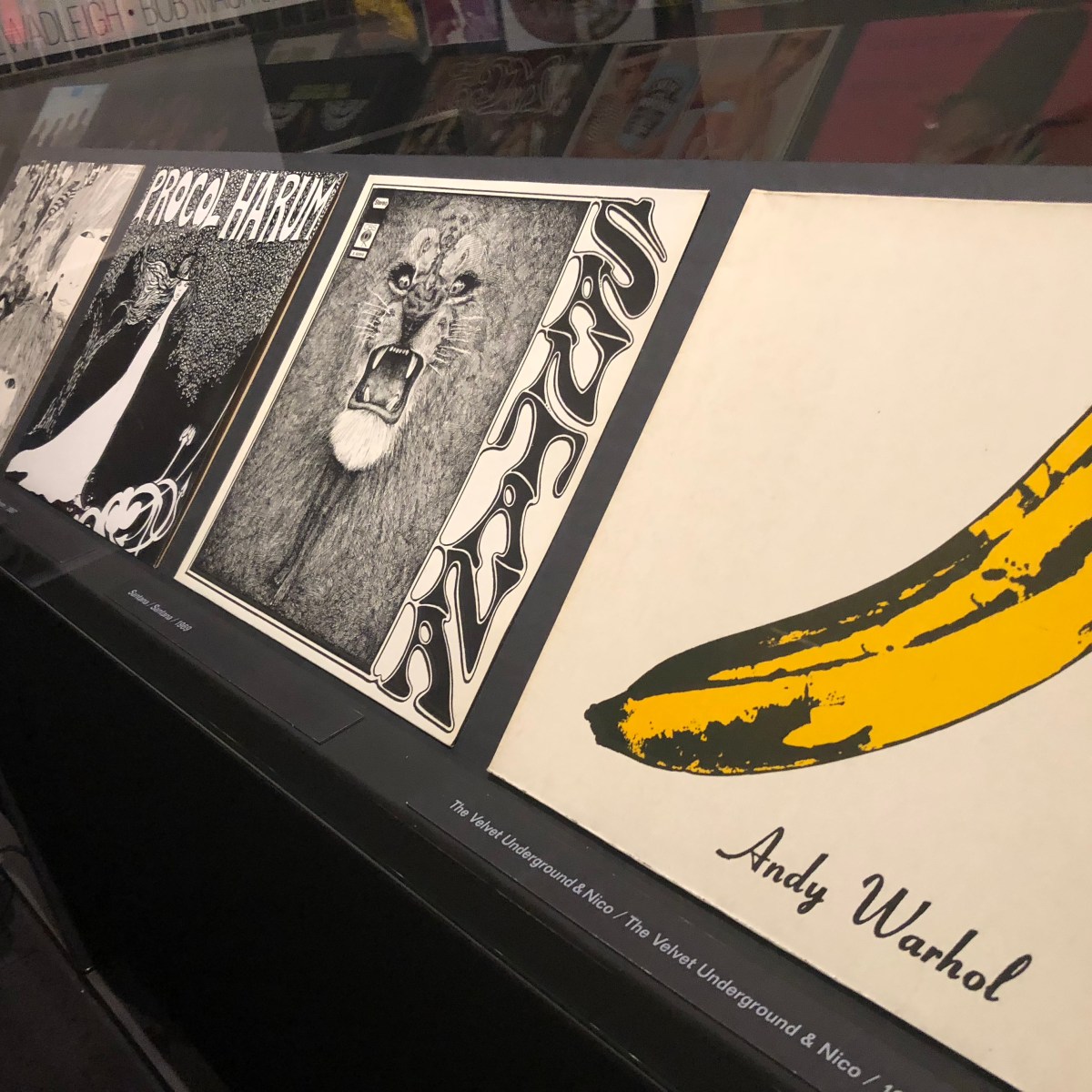 68 – Pop and&nbsp;Protest