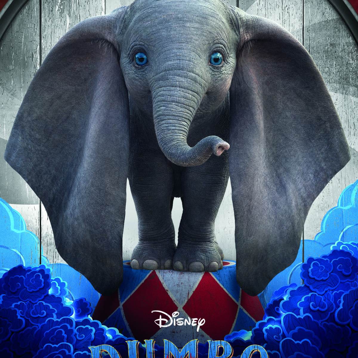 You haven’t seen anything until you’ve seen an elephant&nbsp;fly…