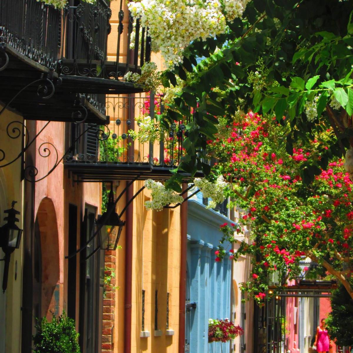 Loving Charleston, SC