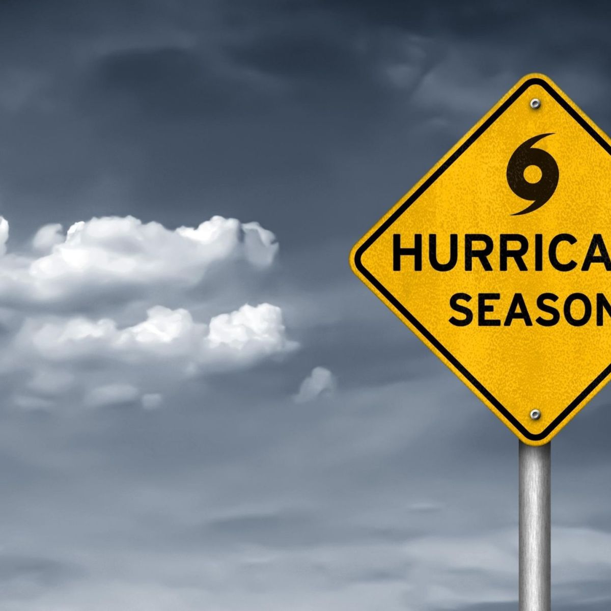 How To Prepare For A Hurricane With&nbsp;Dogs